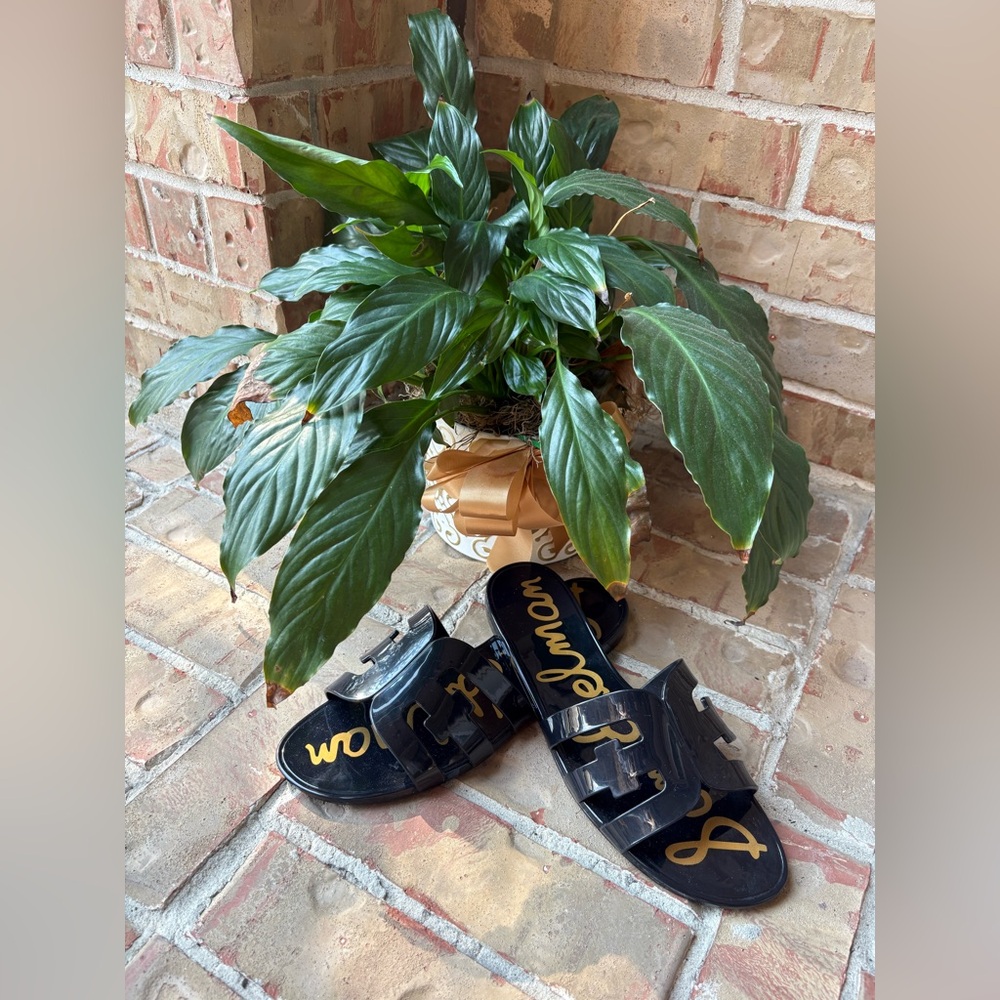 Sam Edelman Black Slide Sandals - Picture 3 of 8